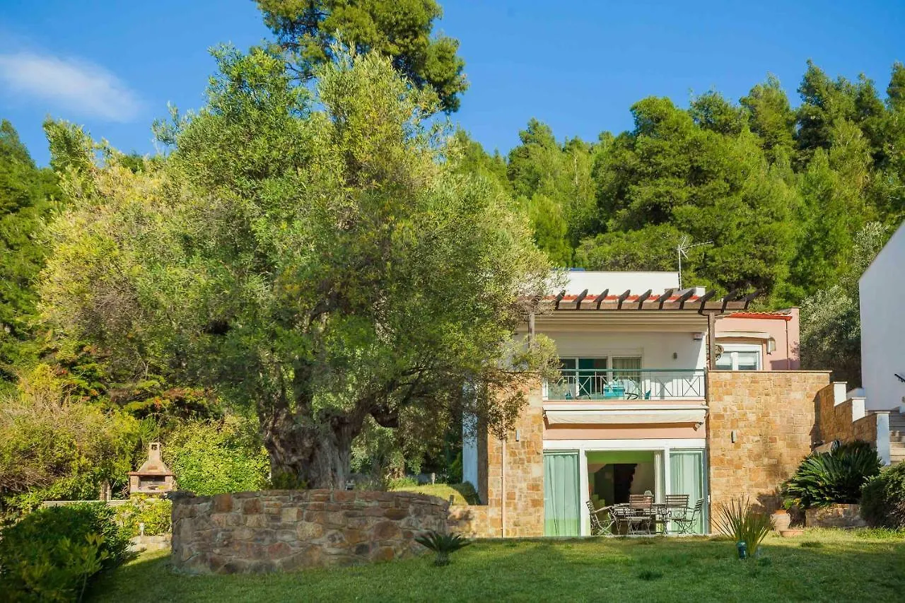 Viorelis Sea View Villa Fourka